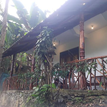 Dulmini Homestay Ella Kültér fotó