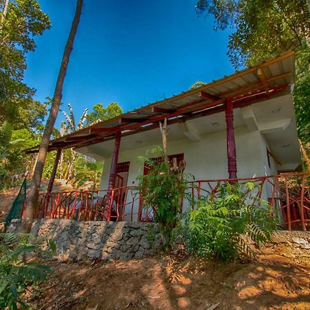 Dulmini Homestay Ella Kültér fotó